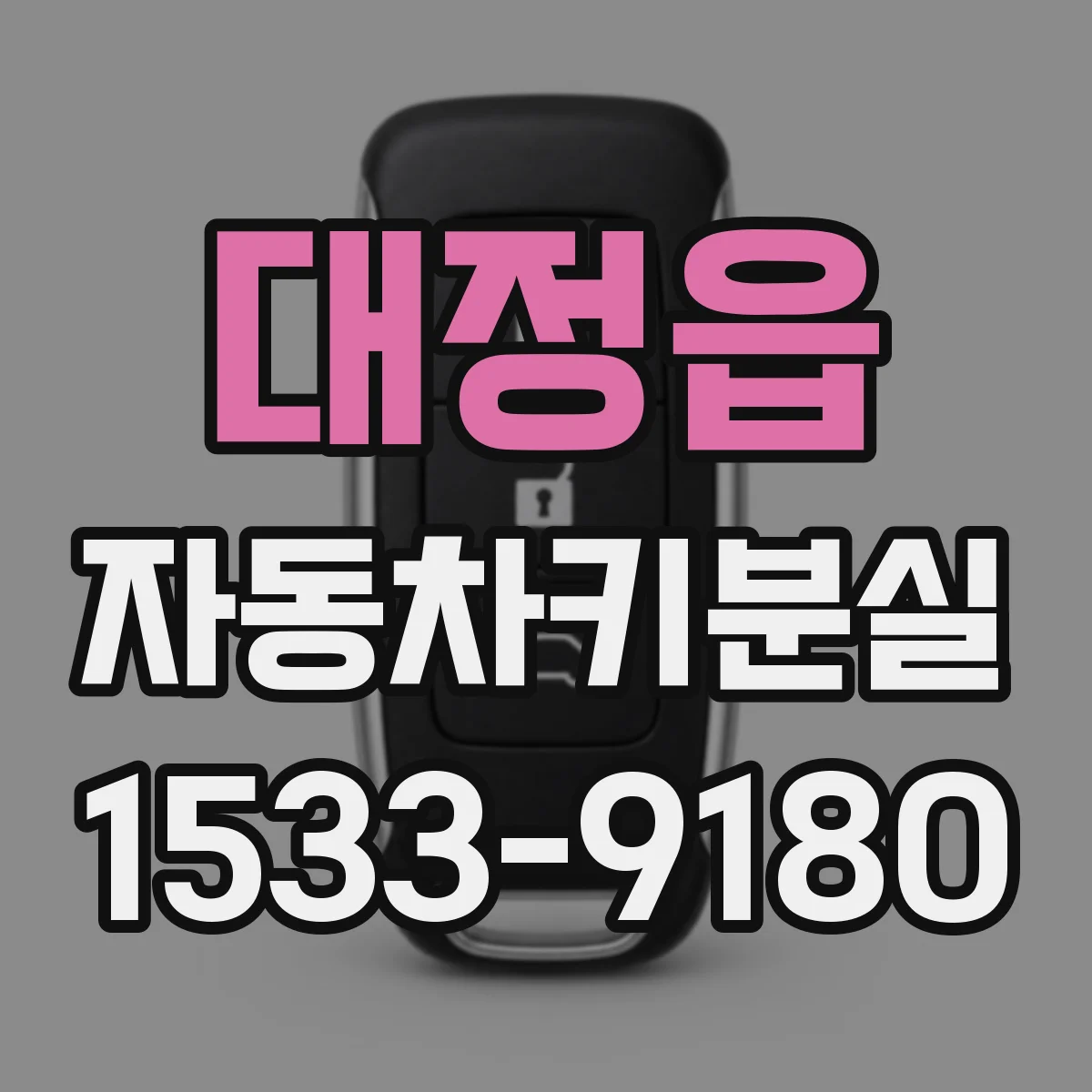 대정읍 자동차키분실