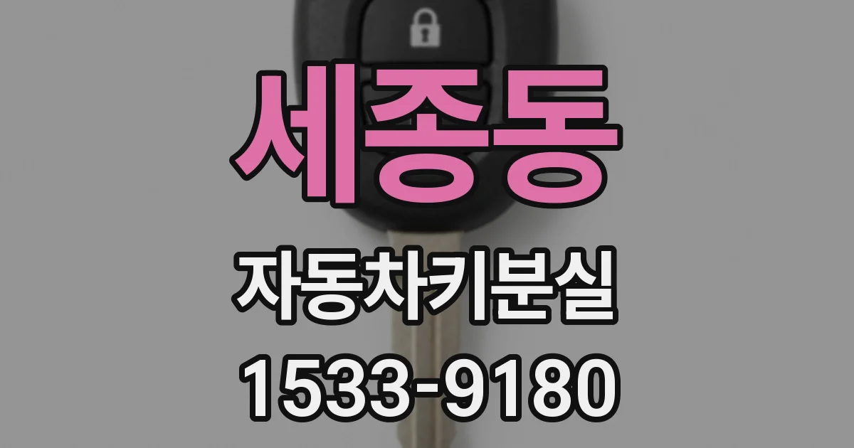 세종동 자동차키분실