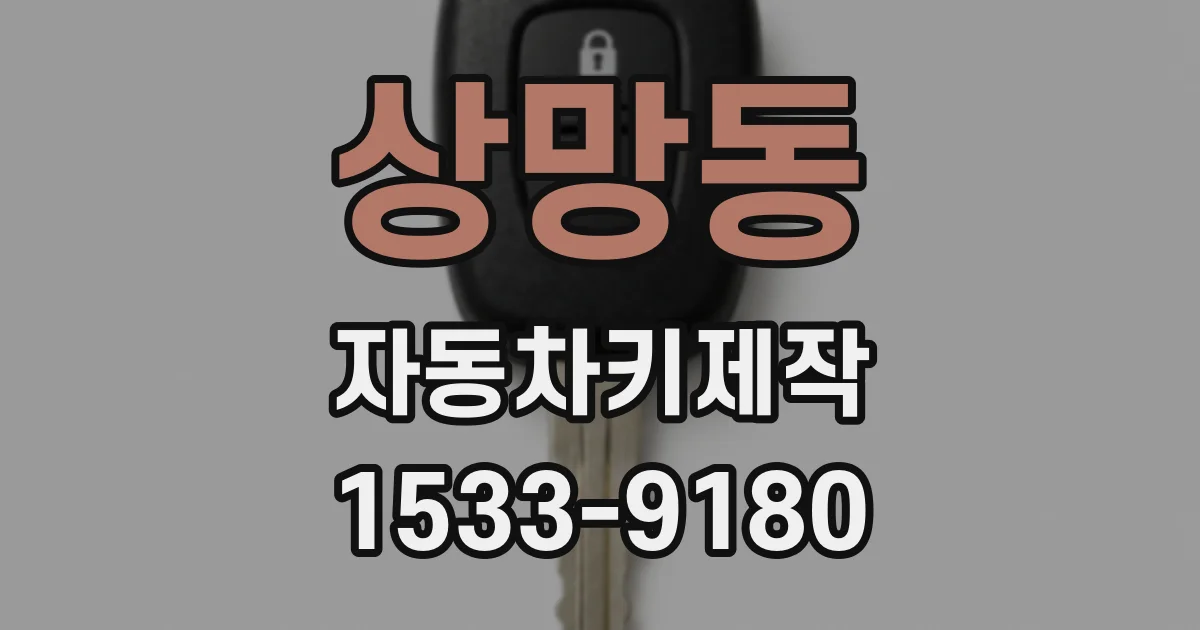 상망동 자동차키제작