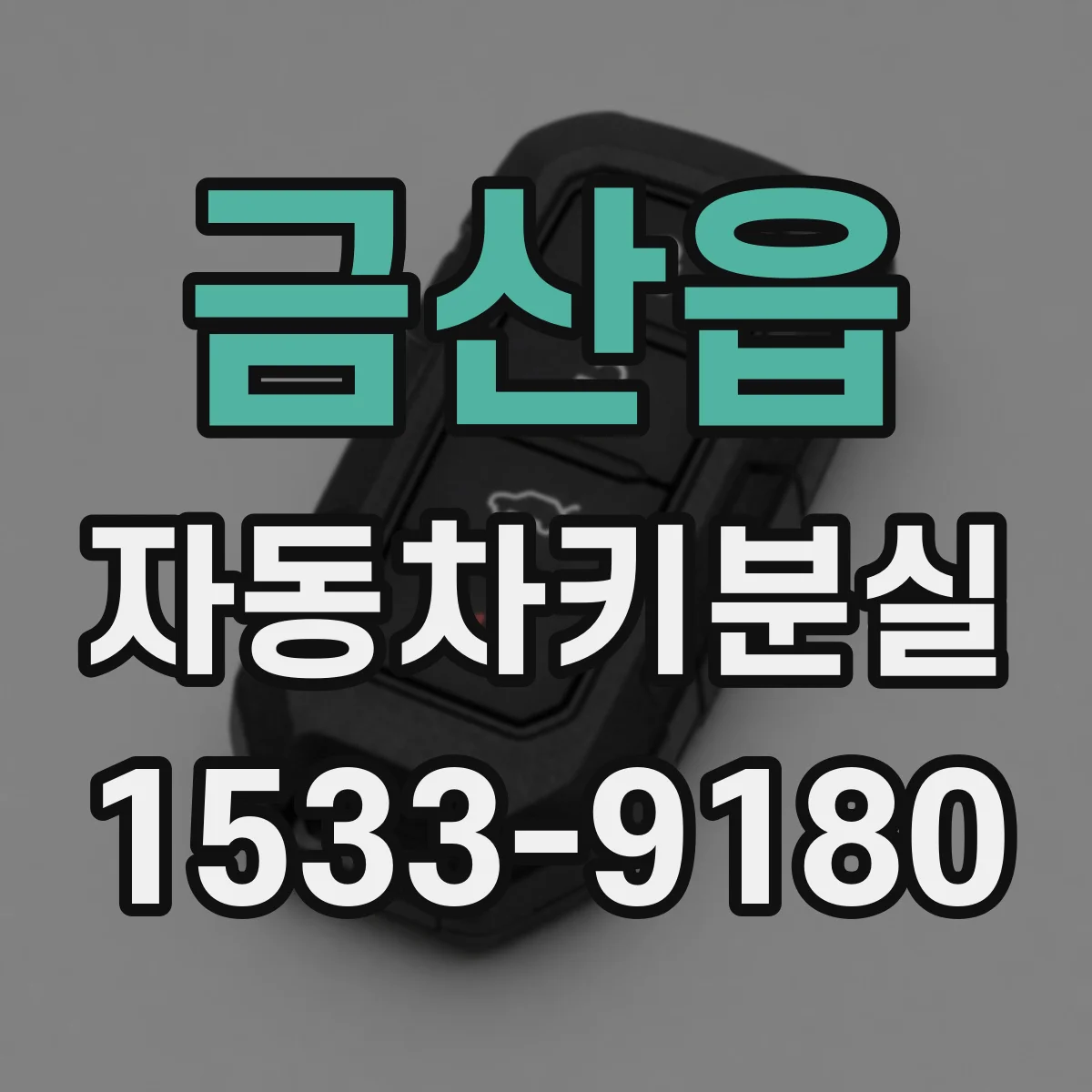 금산읍 자동차키분실