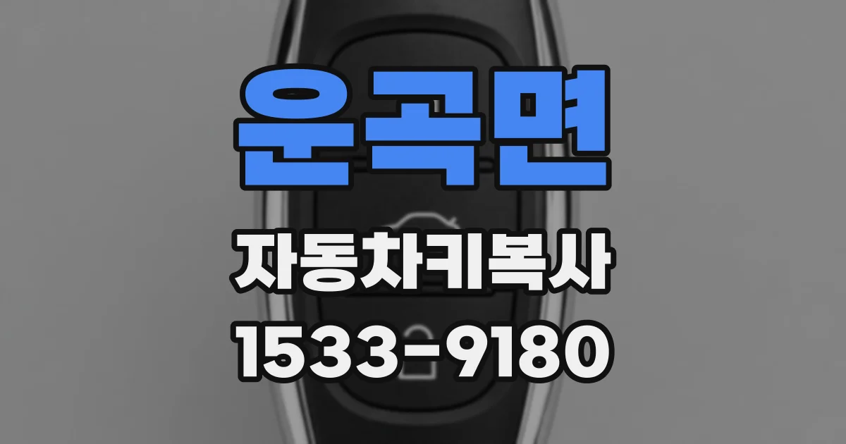 운곡면 자동차키복사