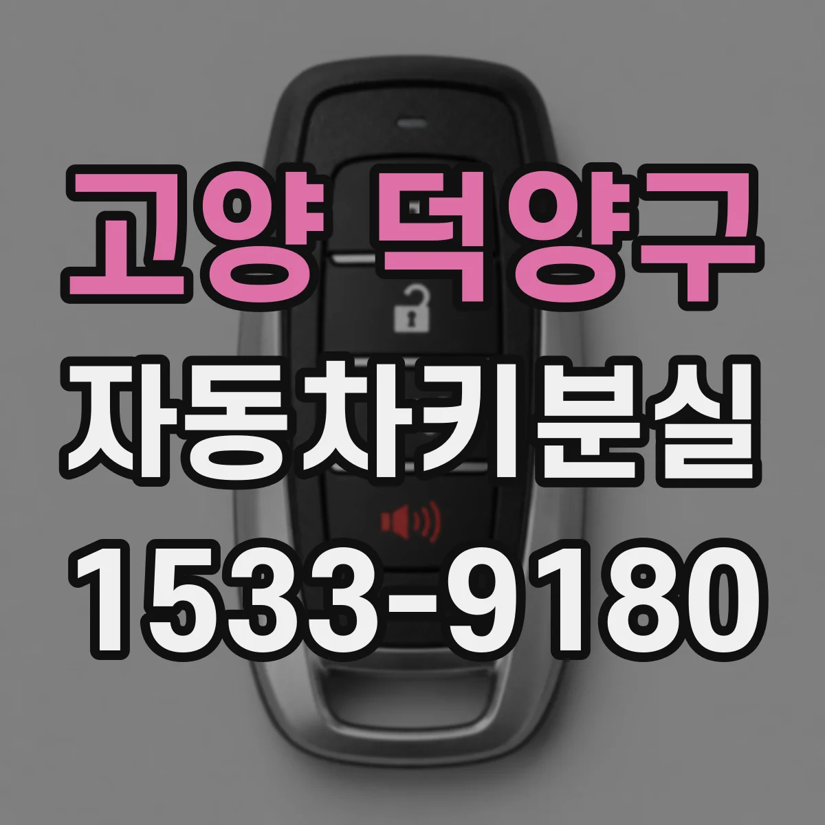 고양 덕양구 자동차키분실