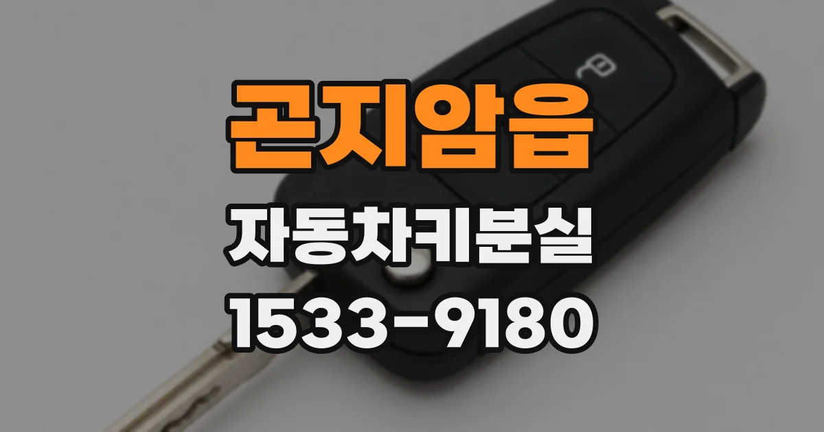 곤지암읍 자동차키분실
