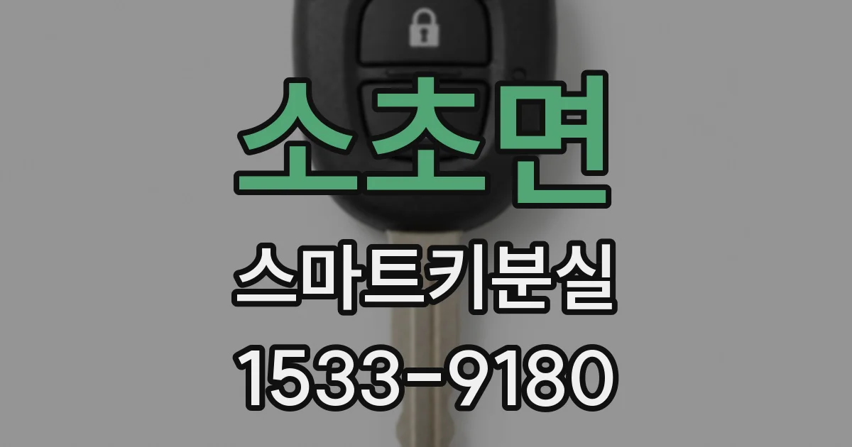 소초면 스마트키분실