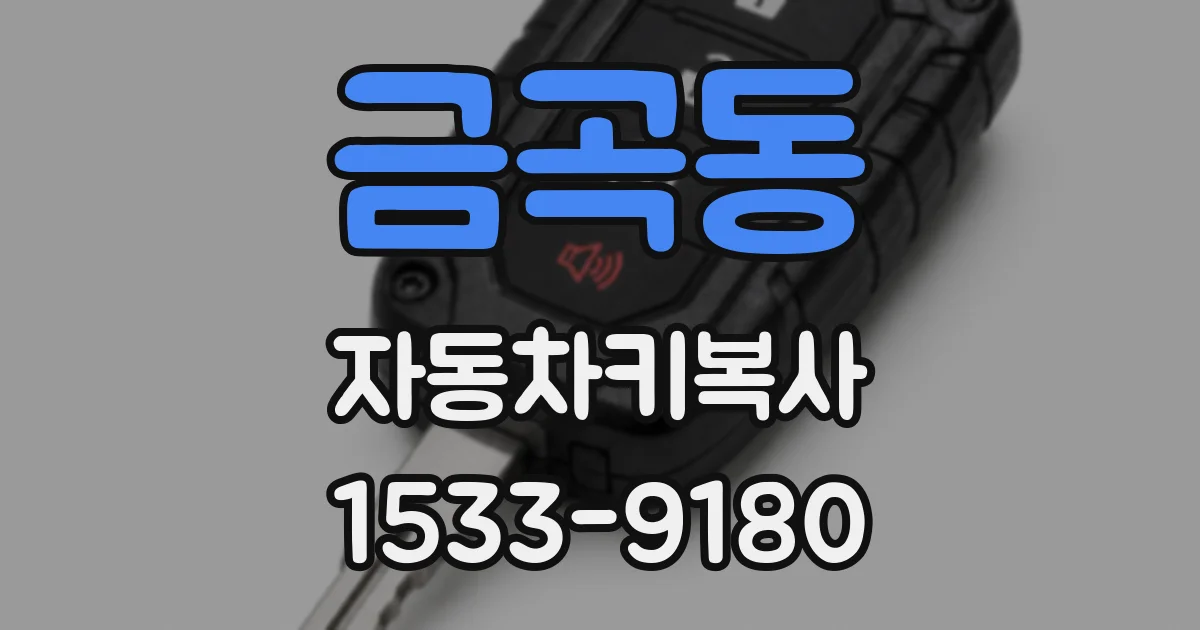 금곡동 자동차키복사