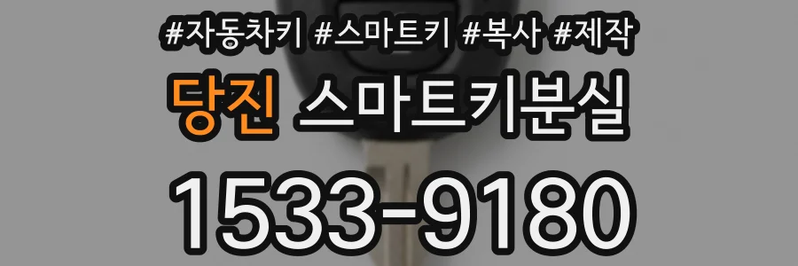 당진 스마트키분실