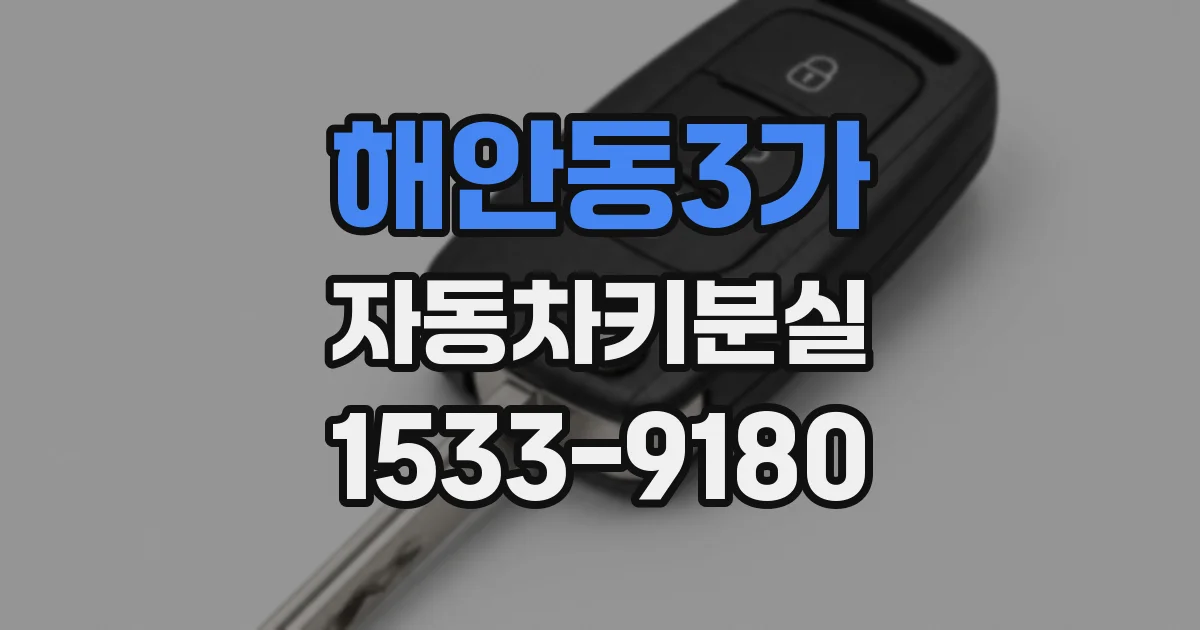 해안동3가 자동차키분실