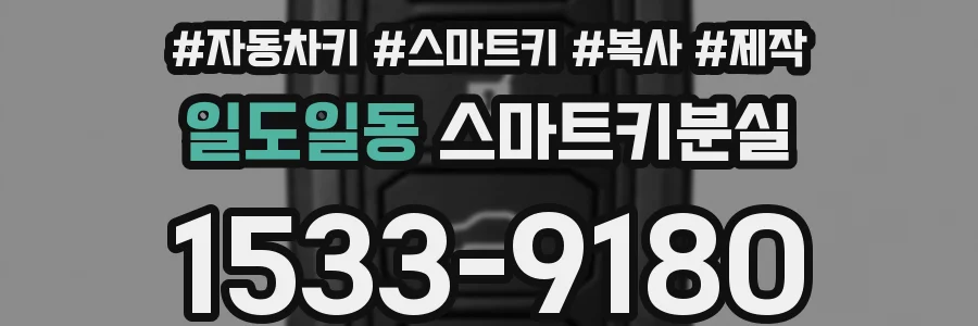 일도일동 스마트키분실