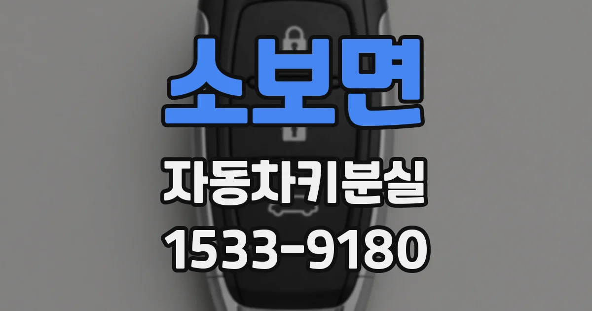 소보면 자동차키분실