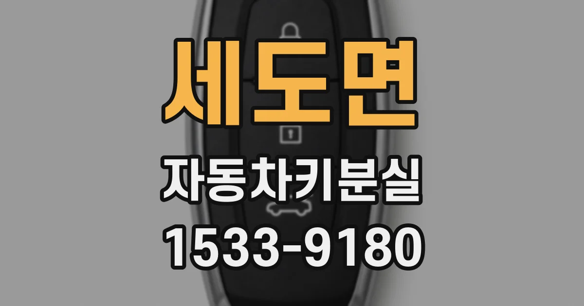 세도면 자동차키분실
