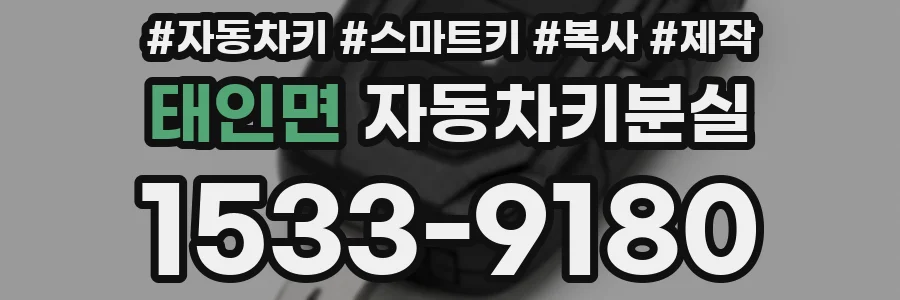 태인면 자동차키분실