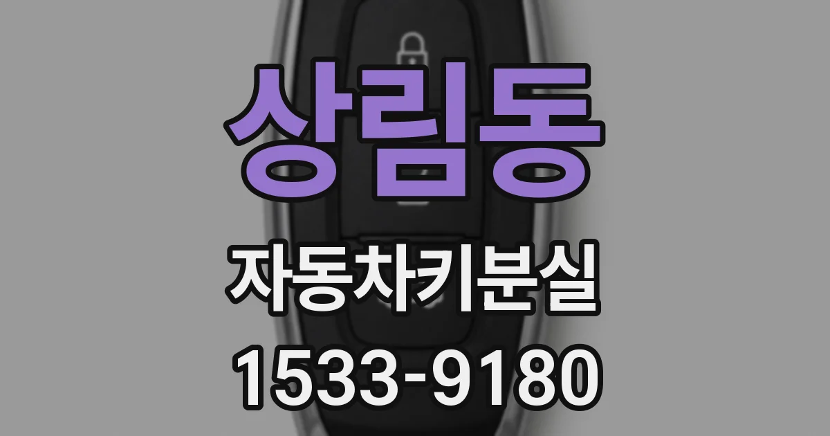 상림동 자동차키분실