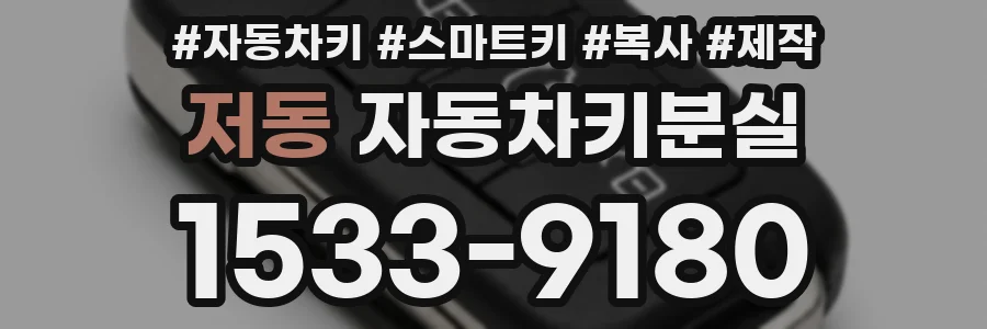 저동 자동차키분실