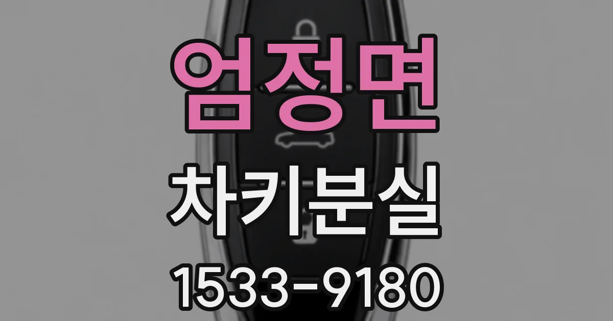 엄정면 차키분실