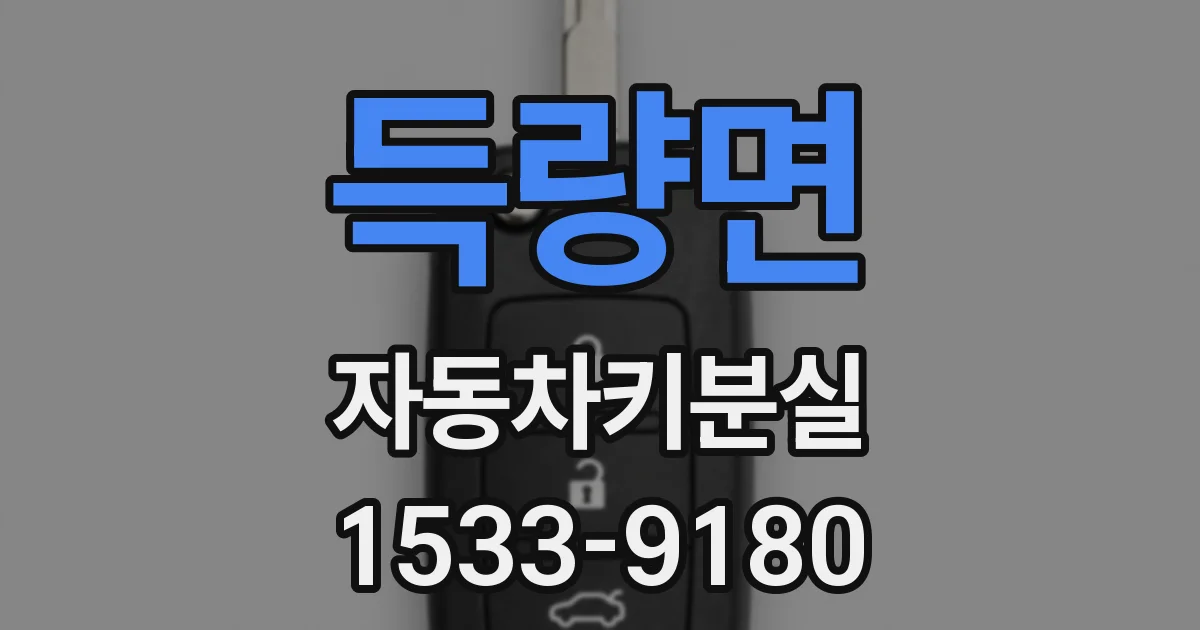 득량면 자동차키분실