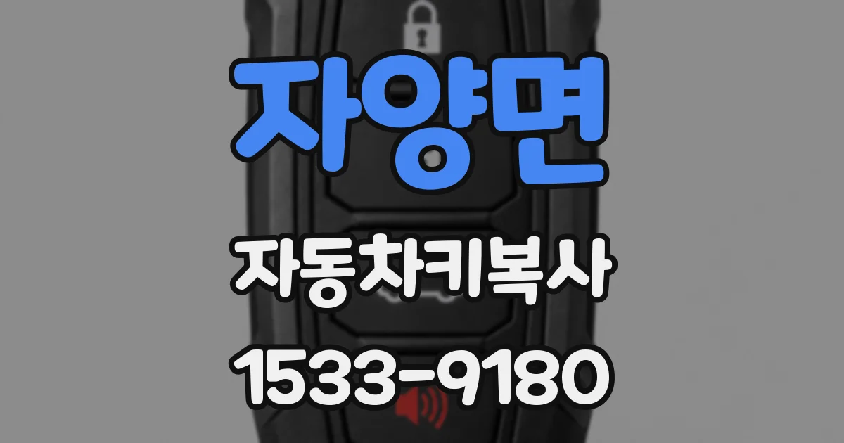 자양면 자동차키복사