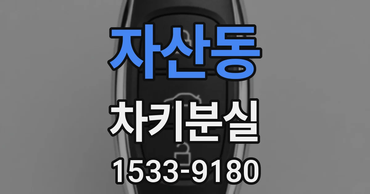 자산동 차키분실