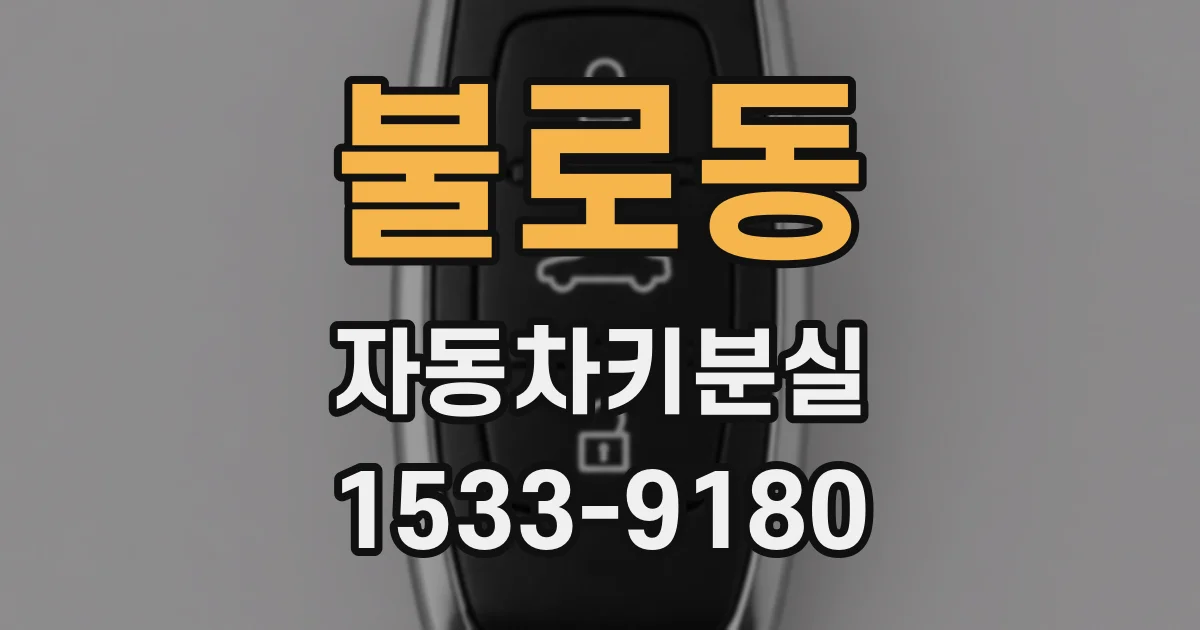 불로동 자동차키분실