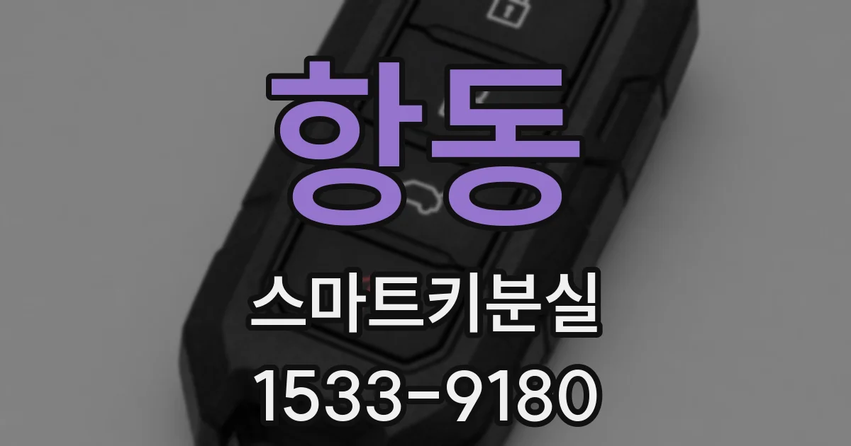 항동 스마트키분실