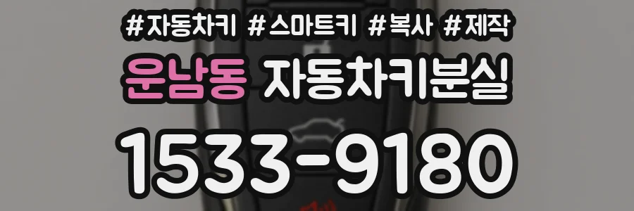 운남동 자동차키분실