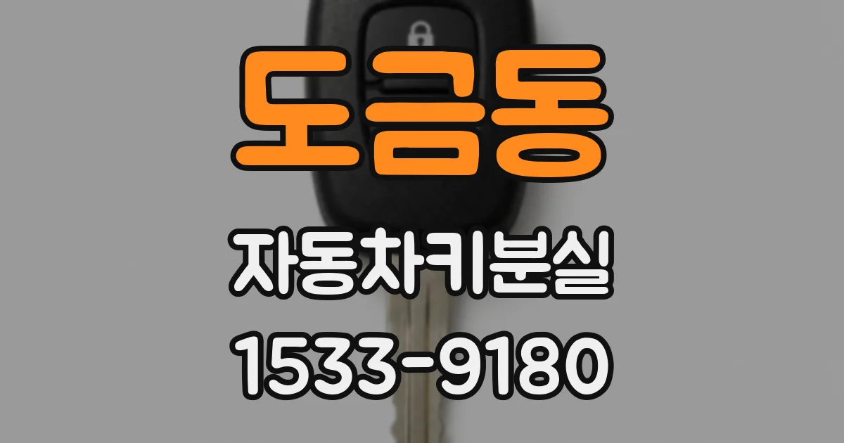 도금동 자동차키분실