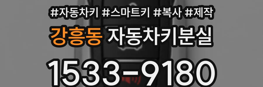 강흥동 자동차키분실