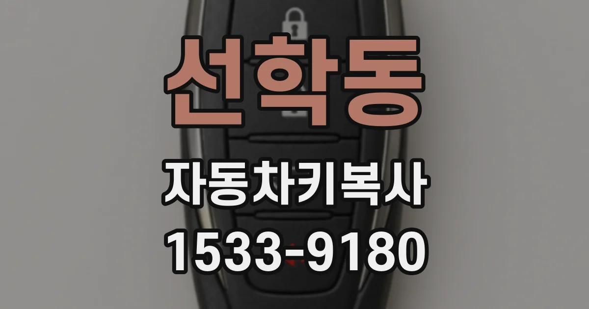 선학동 자동차키복사