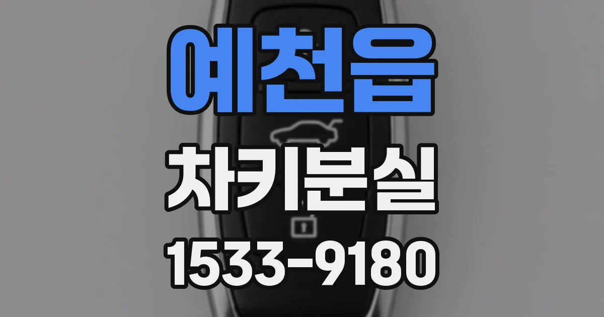 예천읍 차키분실