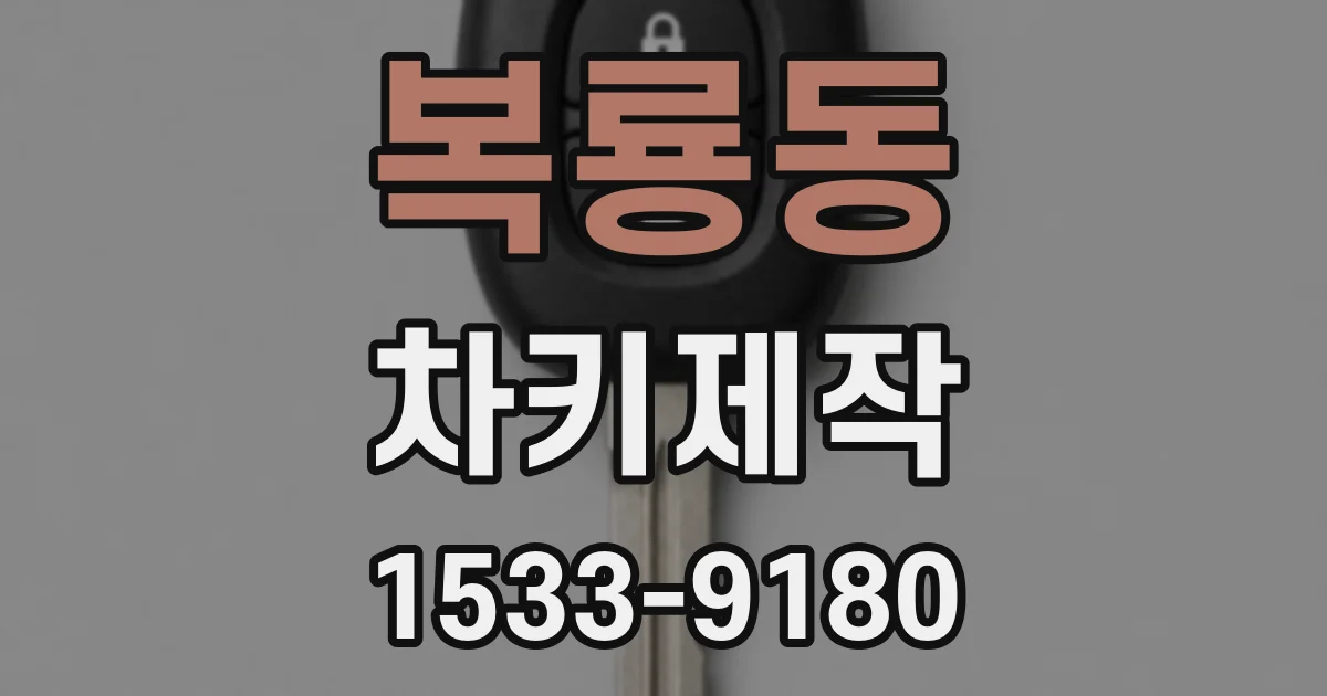 복룡동 차키제작