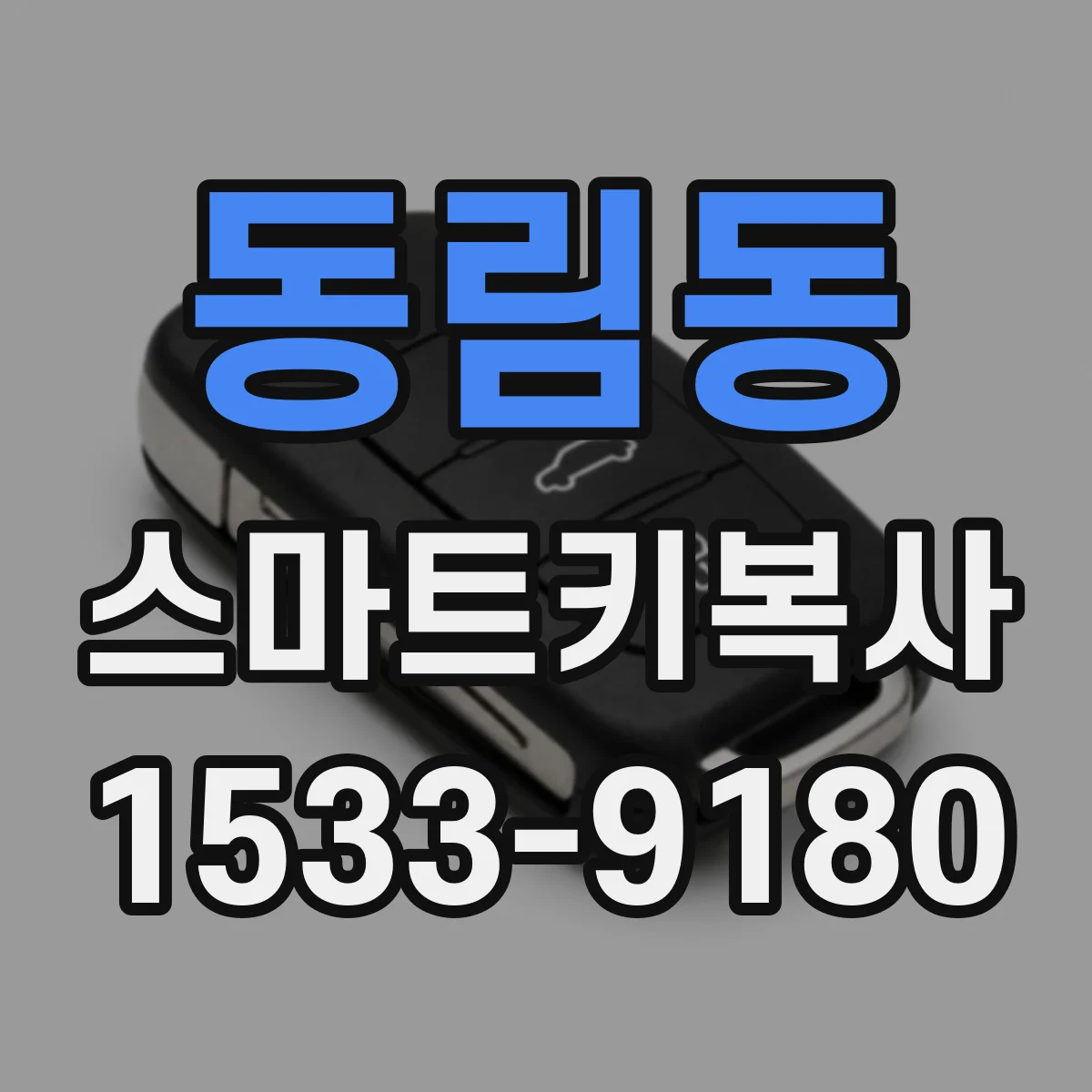 동림동 스마트키복사