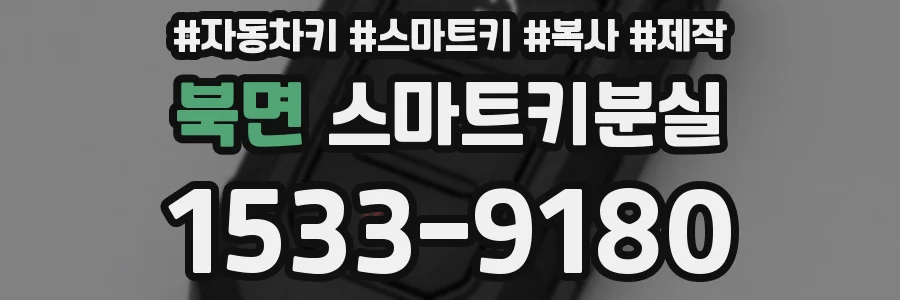 북면 스마트키분실