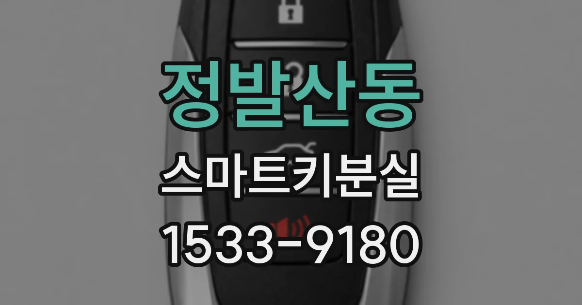 정발산동 스마트키분실