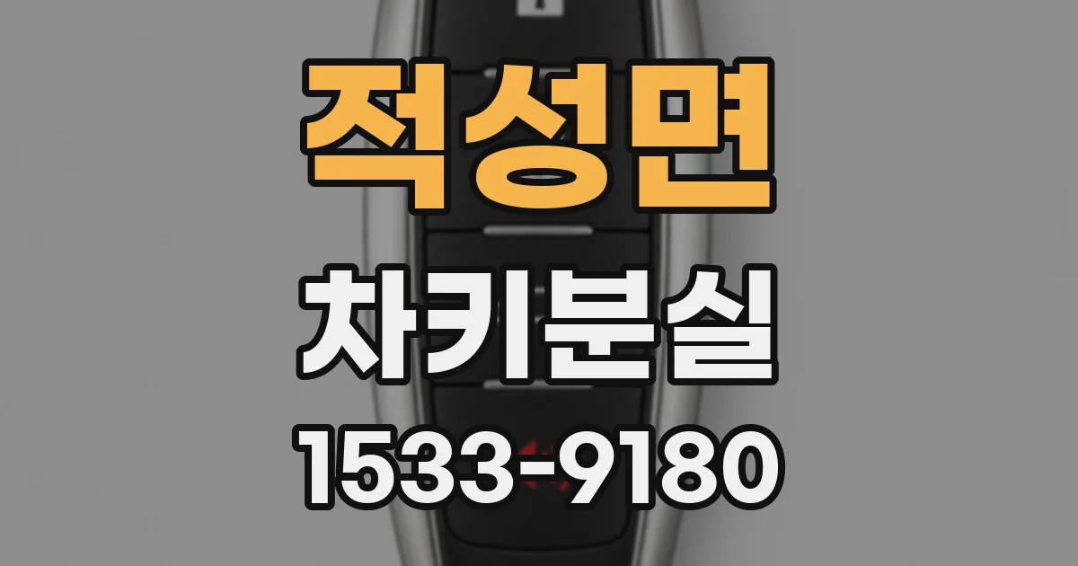 적성면 차키분실
