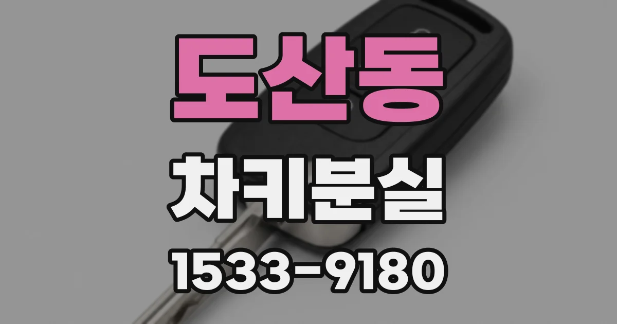 도산동 차키분실