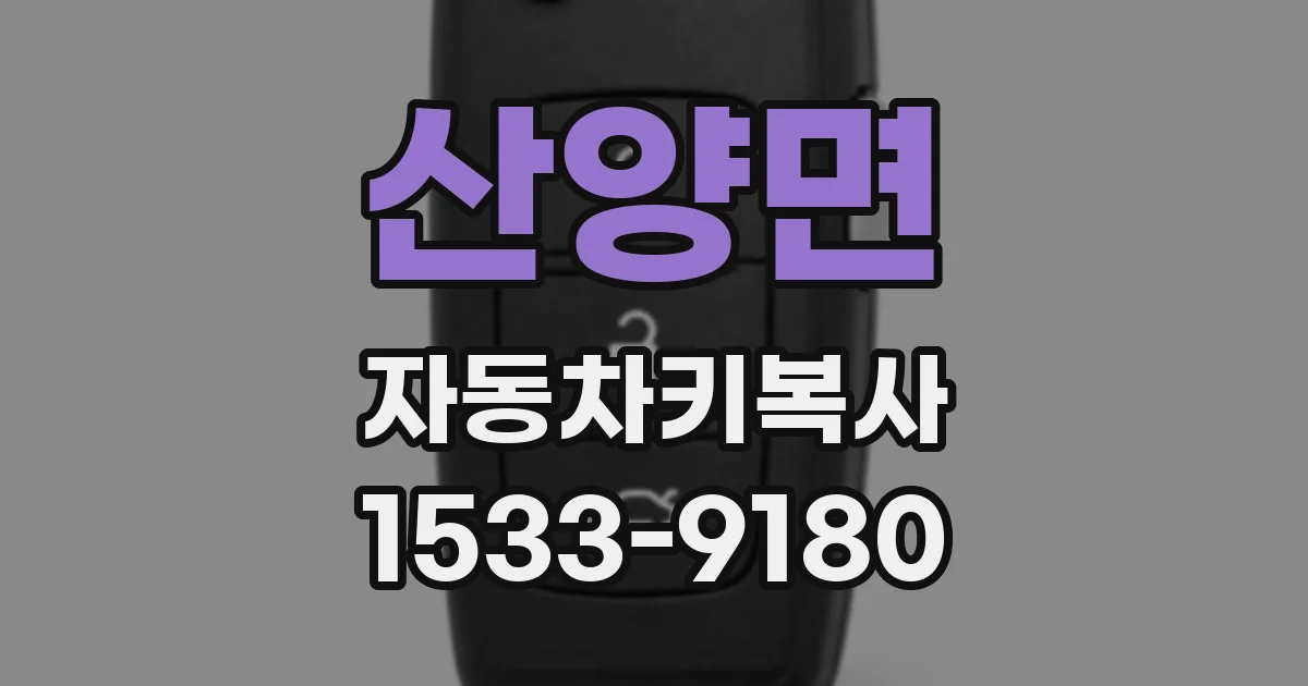 산양면 자동차키복사