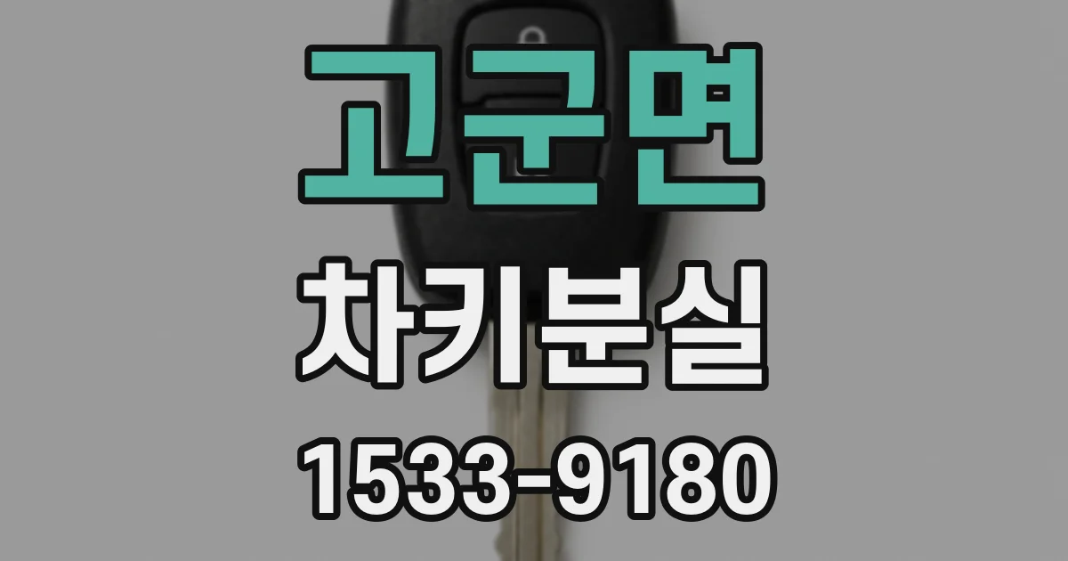 고군면 차키분실
