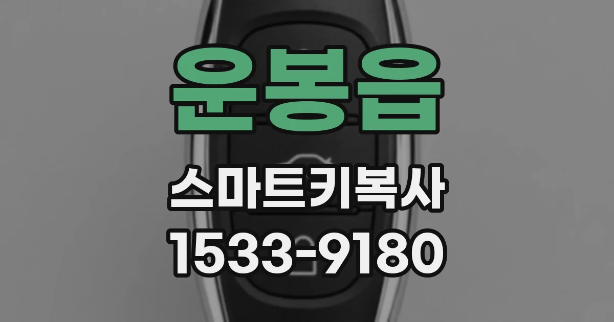 운봉읍 스마트키복사