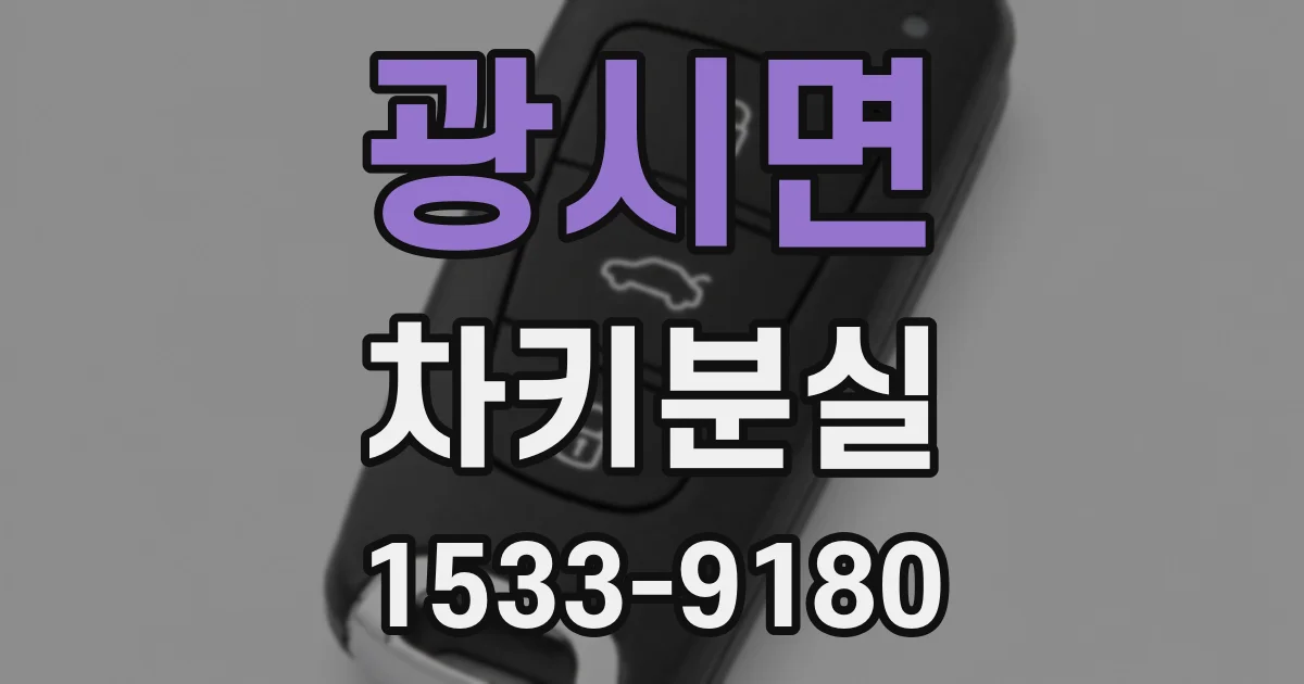 광시면 차키분실