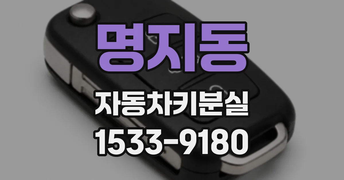 명지동 자동차키분실