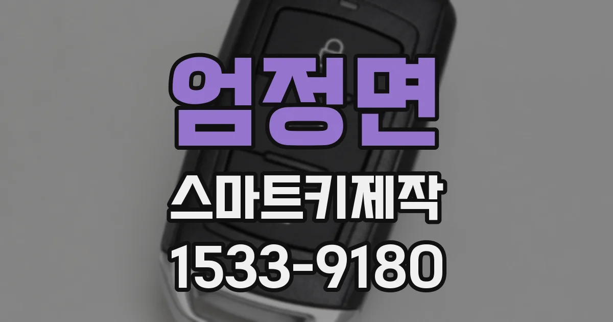 엄정면 스마트키제작