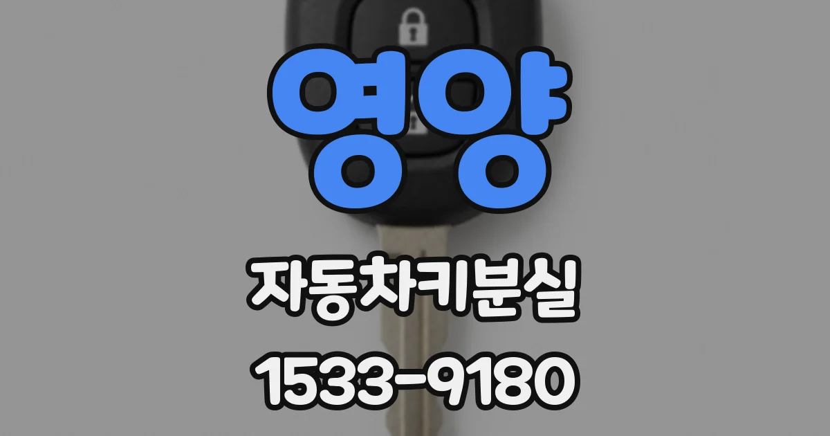 영양 자동차키분실