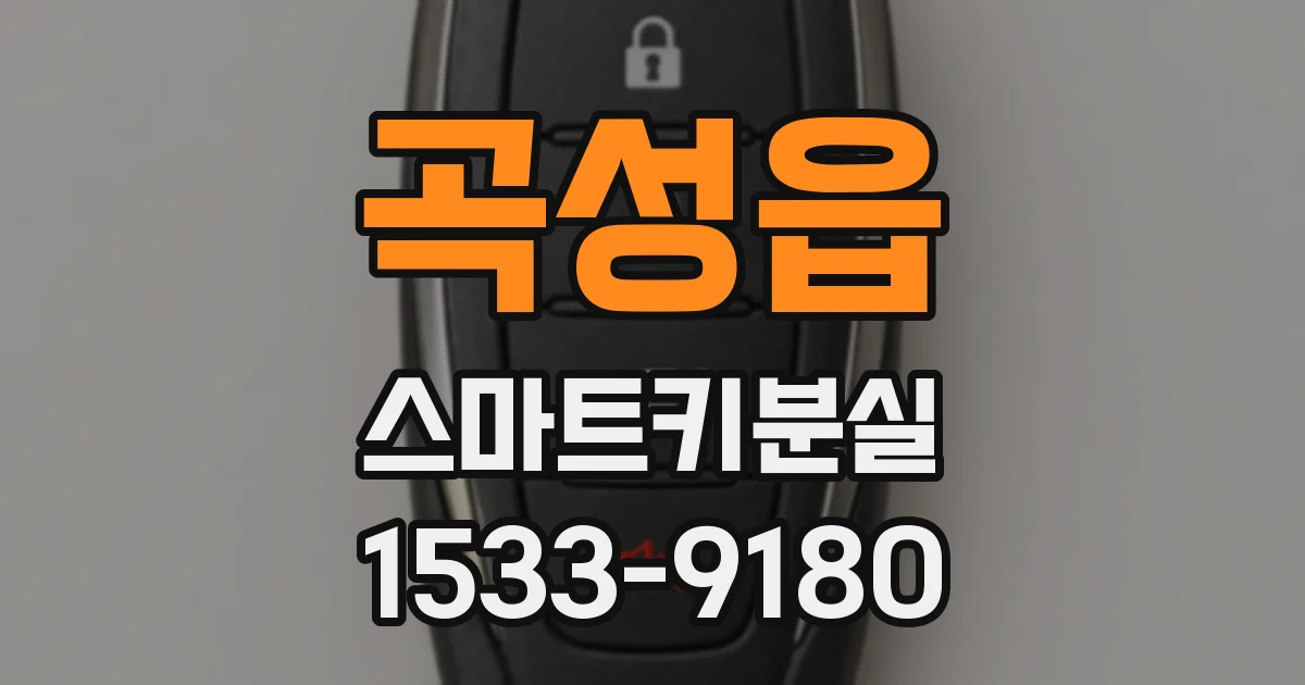 곡성읍 스마트키분실