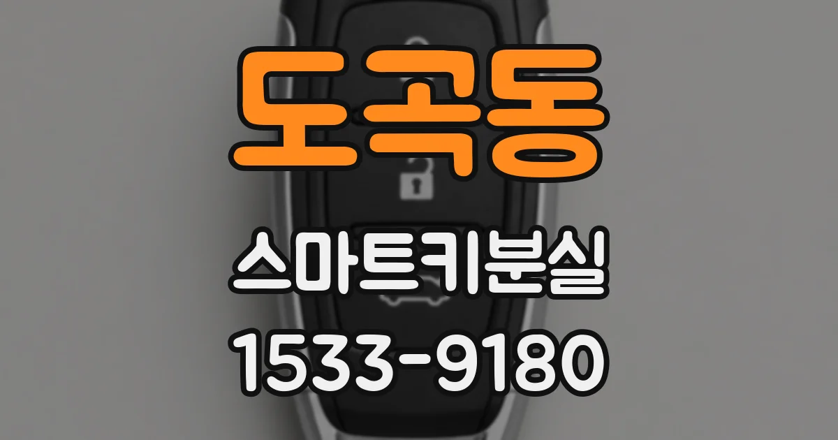 도곡동 스마트키분실