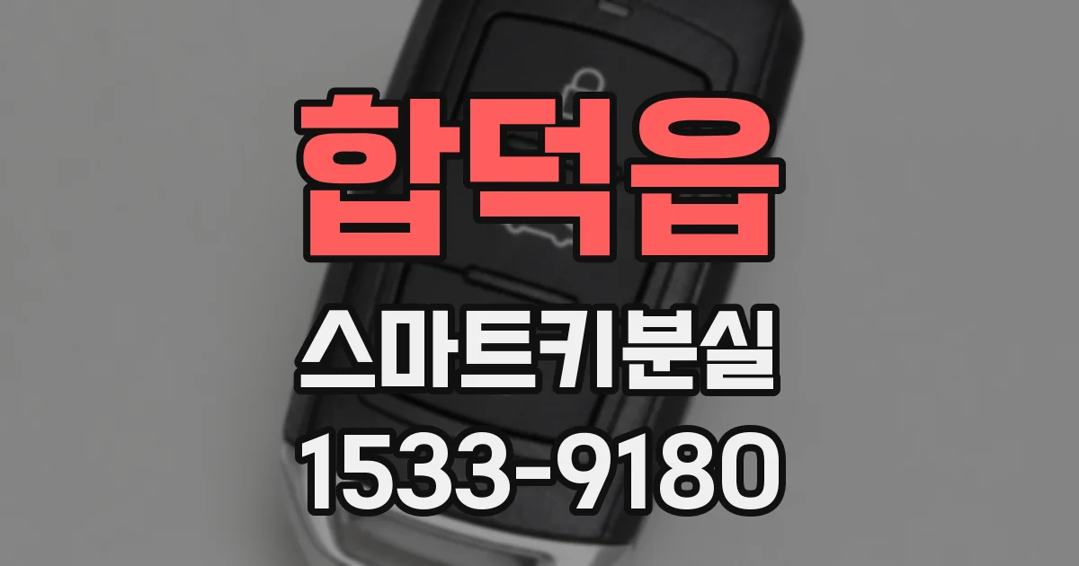 합덕읍 스마트키분실
