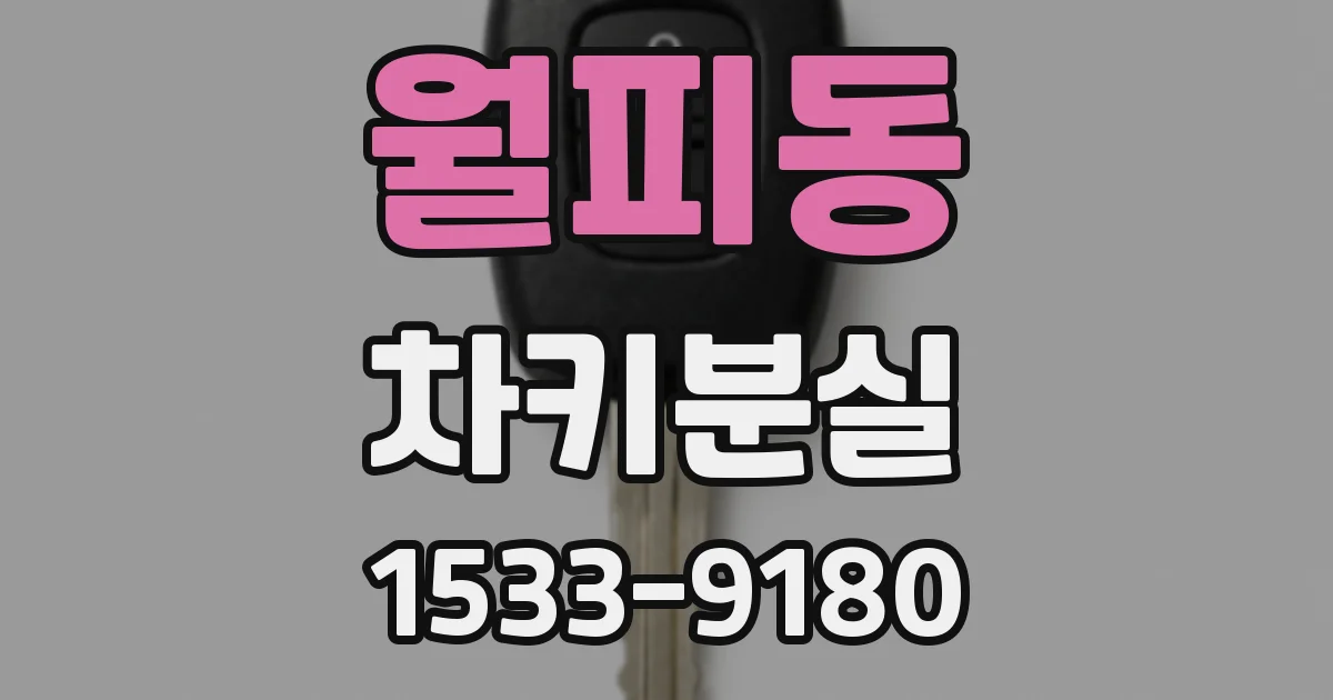월피동 차키분실