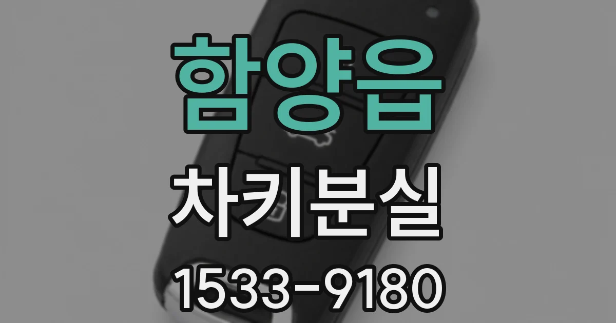 함양읍 차키분실