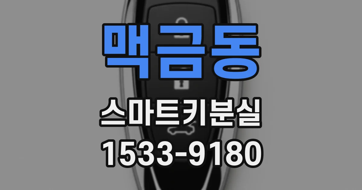 맥금동 스마트키분실