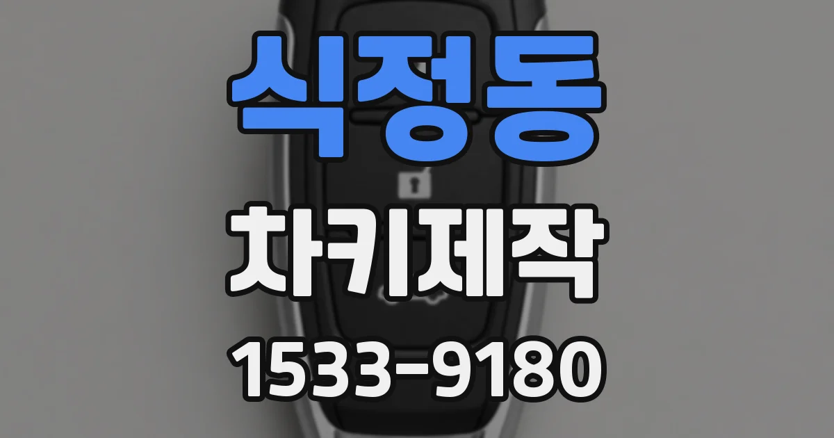 식정동 차키제작