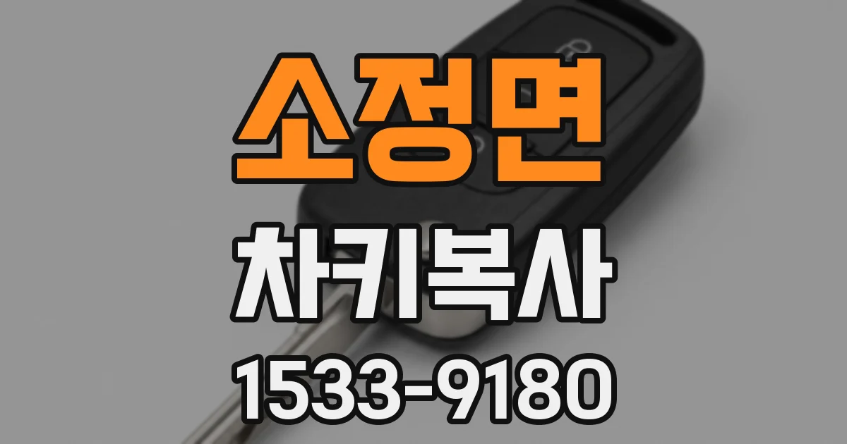 소정면 차키복사