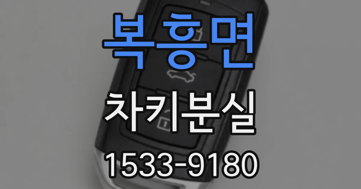 복흥면 차키분실